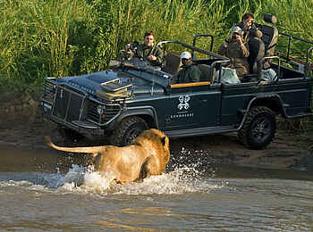 Londolozi Varty Camp: Ein Löwe beim Bad