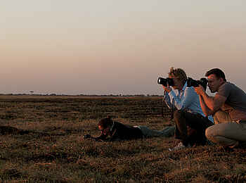 Ntemwa Busanga Bushcamp: Fotosafari