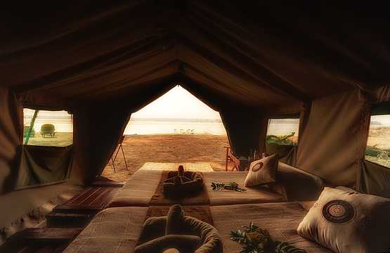 Zambezi Expeditions Camp: Blick aus einem Zelt Zambezi Expeditions Camp: Blick aus einem Zelt