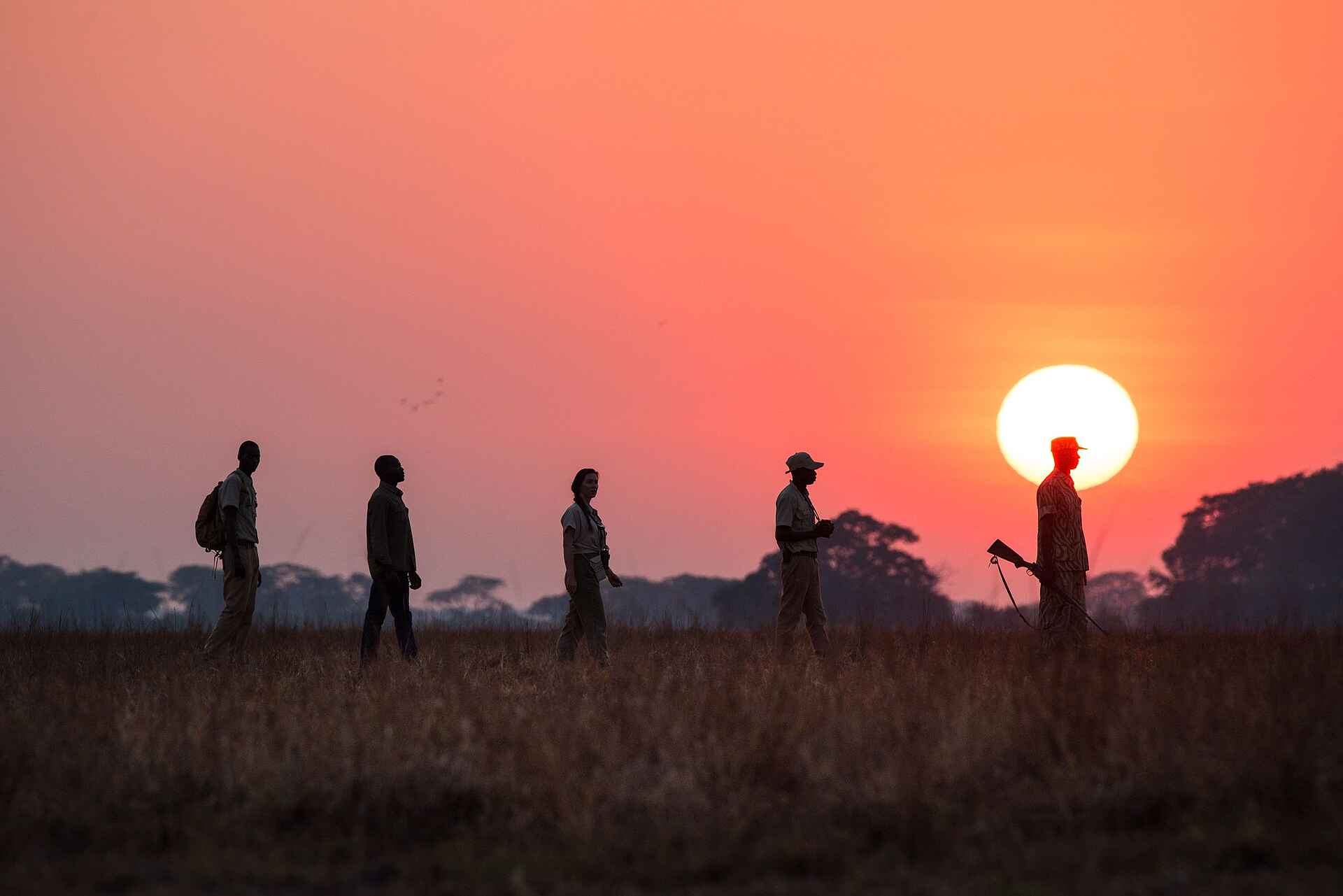 Chisa Busanga Camp: Walking Safari bei Sonnenuntergang