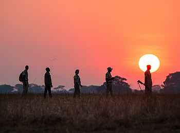 Chisa Busanga Camp: Walking Safari bei Sonnenuntergang Chisa Busanga Camp: Walking Safari bei Sonnenuntergang