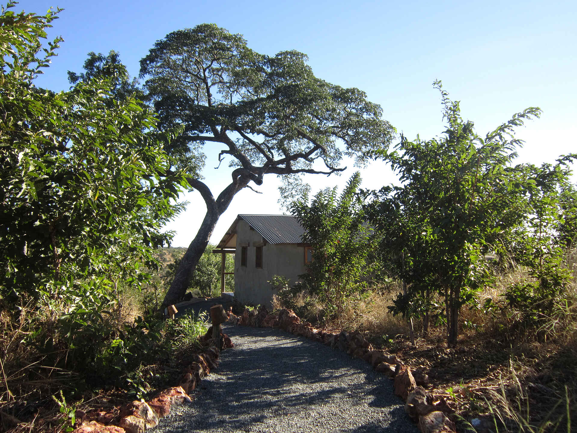 Chobe Elephant Camp: Pfad durchs Camp