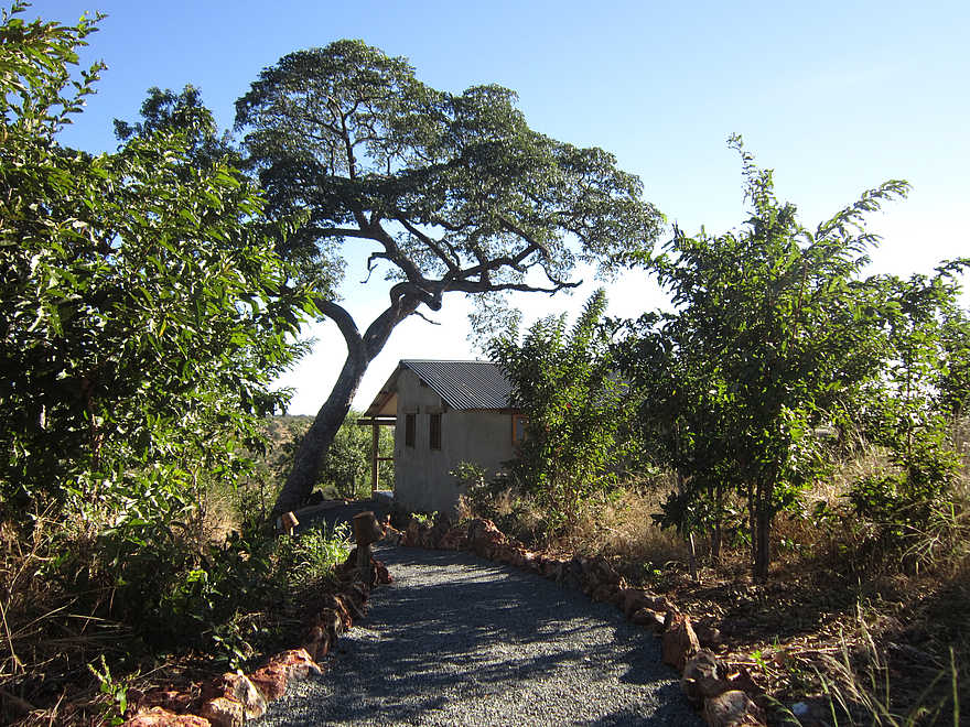 Chobe Elephant Camp: Pfad durchs Camp Chobe Elephant Camp: Pfad durchs Camp