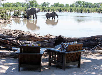 Elephant Pan Camp: Elefanten vom Camp aus Elephant Pan Camp: Elefanten vom Camp aus