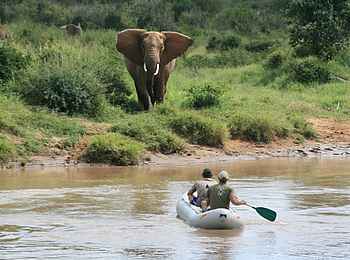 Laikipia Wilderness River Camp: Im Kanu Laikipia Wilderness River Camp: Im Kanu