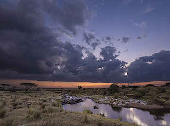 Mara Toto Tree Camp: Die Masai Mara
