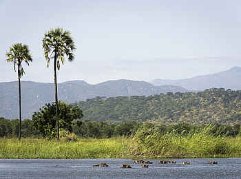Miyala Camp: Die Landschaft Miyala Camp: Die Landschaft