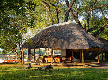 Nkwali Camp: Loungebereich