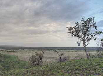 Phinda Mountain Lodge: Landschaft Phinda Mountain Lodge: Landschaft