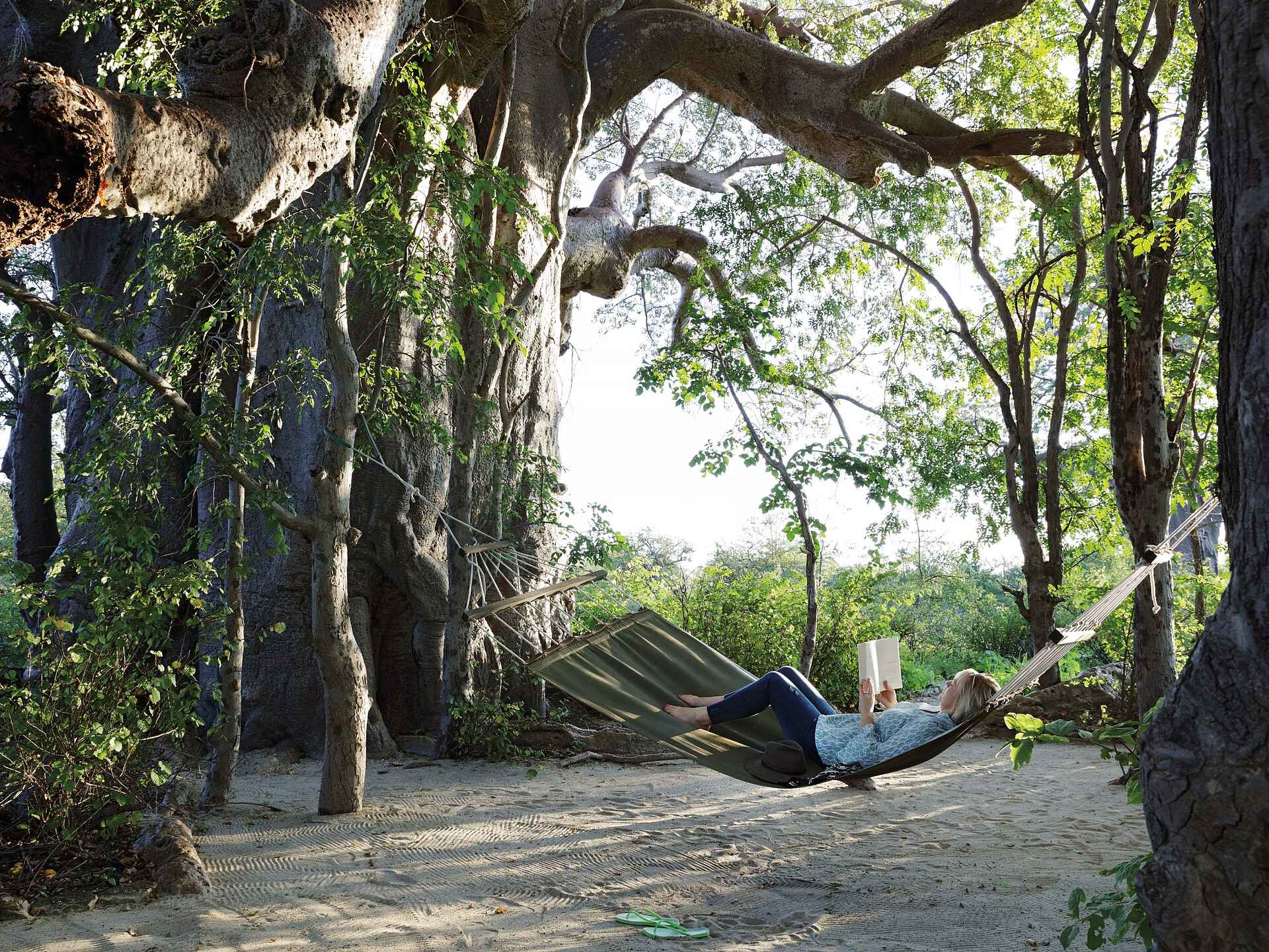 Planet Baobab: Entspannung in der Hängematte