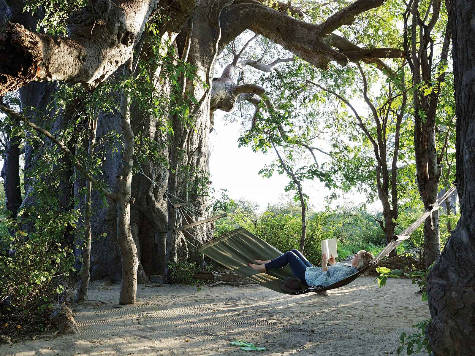 Planet Baobab: Entspannung in der Hängematte Planet Baobab: Entspannung in der Hängematte