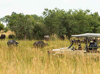 Sediba Sa Rona Lodge: Game Drive
