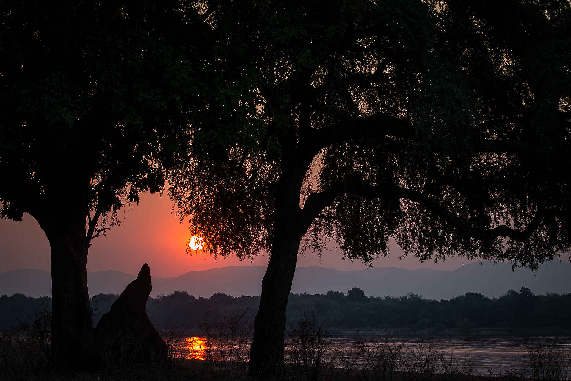 Chikwenya Camp, Lower Zambezi, Mana Pools National Park, Sapi River, Sapi Safari Area, Wilderness Safaris, Aktivitäten, Galeriewald, Game Drives, Landschaft, Uferzone, Walking Safari, Abendsonne, Lichtspiele, Sonnenuntergang, Afrikarma, Afrikarma Safaris, Afrikarma Safaris. Wildnis. Hautnah., Afrikarma.de