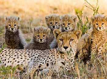 Olare Mara Kempinski: Familienportrait