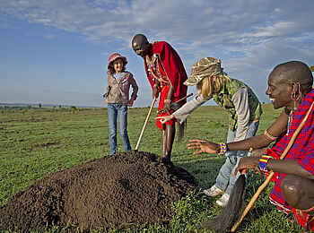 Sanctuary Olonana: Untersuchung eines Termitenhügels Sanctuary Olonana: Untersuchung eines Termitenhügels