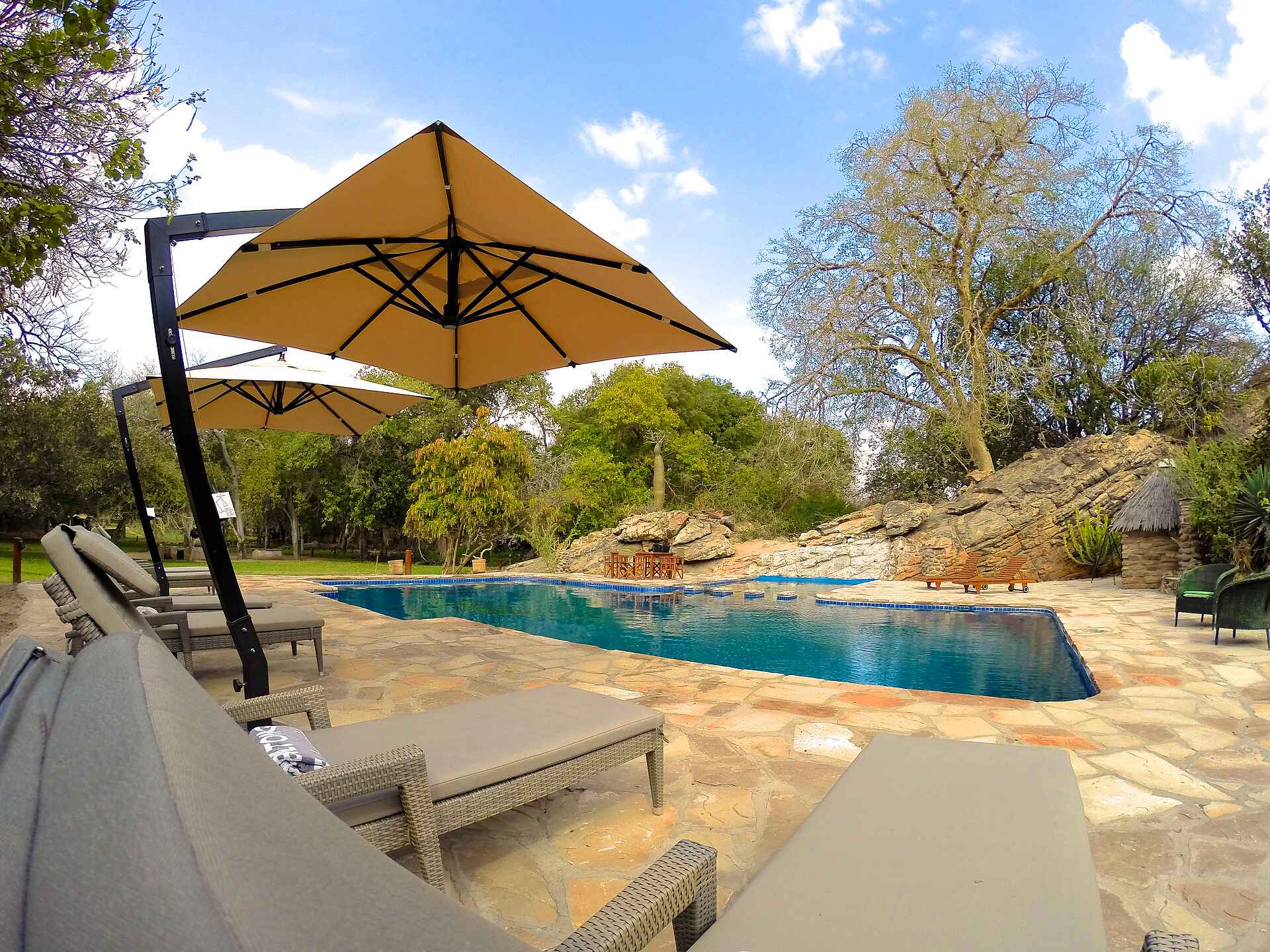 botswana safari, safari botswana, tuli lodge, tuli lodge bilder, tuli lodge botswana, tuli safari lodge, tuli safari lodge bilder, main area, swimming pool, swimmingpool, Tuli Safari Lodge Masahtu