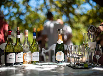 Boschendal Wine Estate: Weinprobe
