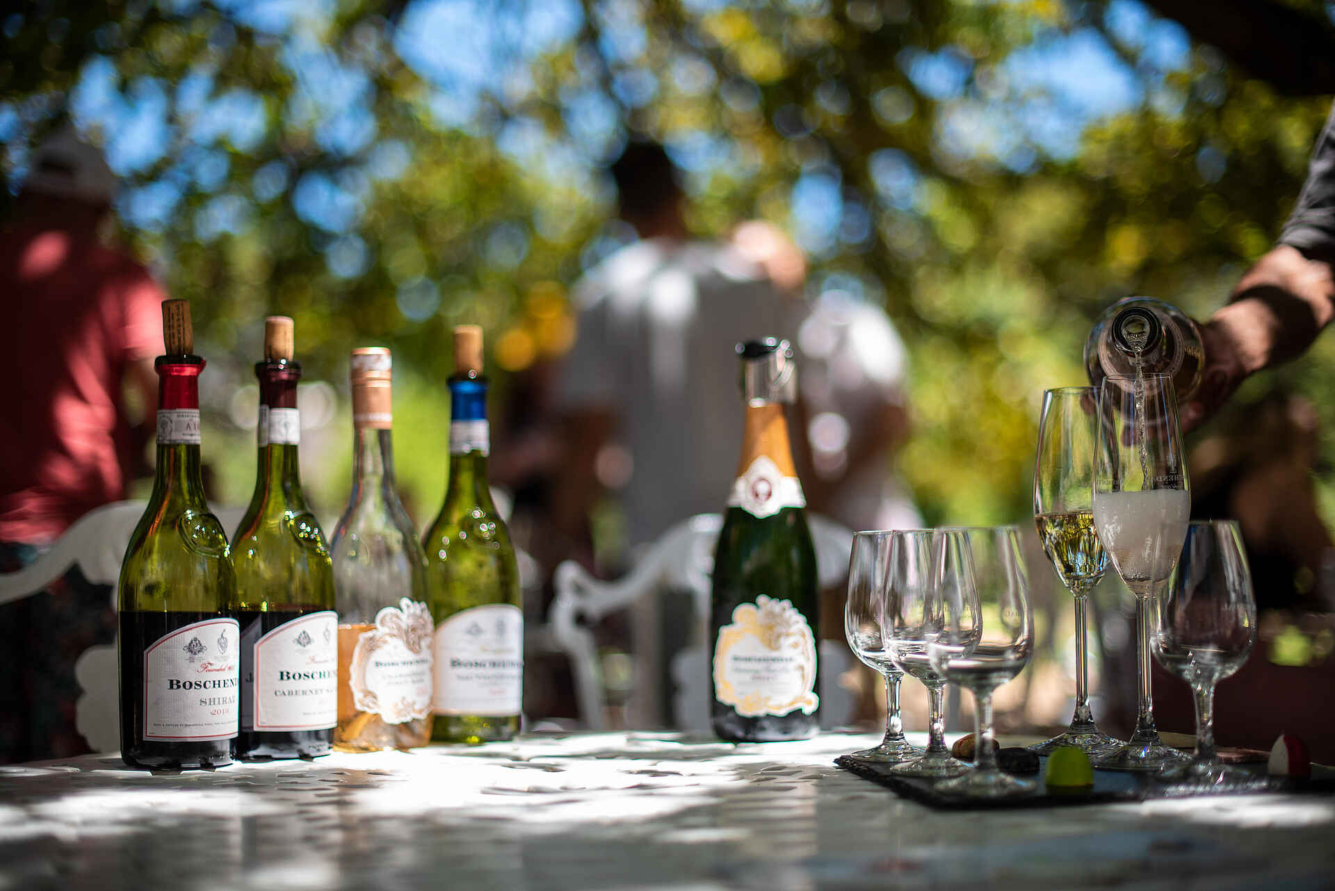 Boschendal Wine Estate: Weinprobe
