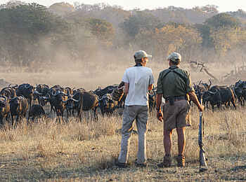 Khulu Bush Camp: Zu Fuß unterwegs Khulu Bush Camp: Zu Fuß unterwegs