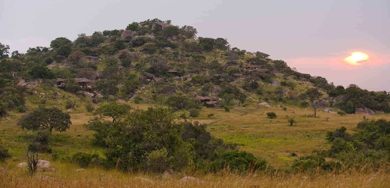 Lamai Serengeti: Hügel mit Lodge Lamai Serengeti: Hügel mit Lodge