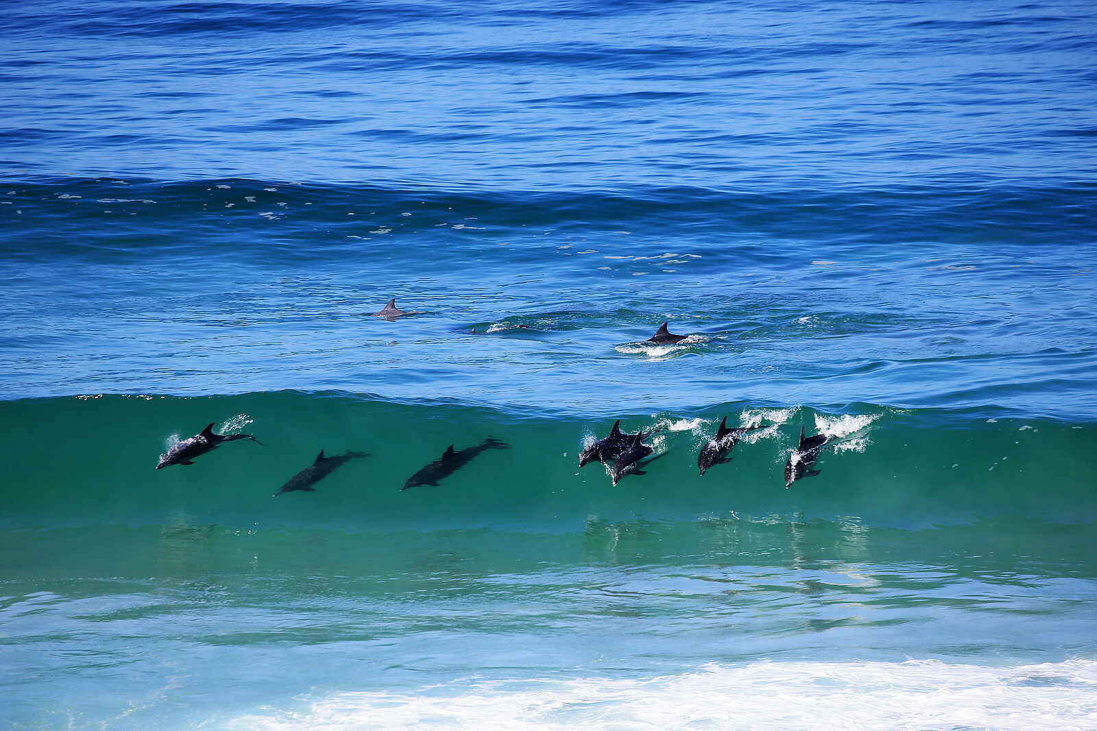 Lekkerwater Beach Lodge: Delfine Lekkerwater Beach Lodge: Delfine