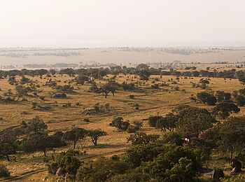 Mkombes House Lamai: Ausblick