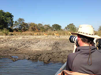 Musekese Camp: Foto-Safari Musekese Camp: Foto-Safari