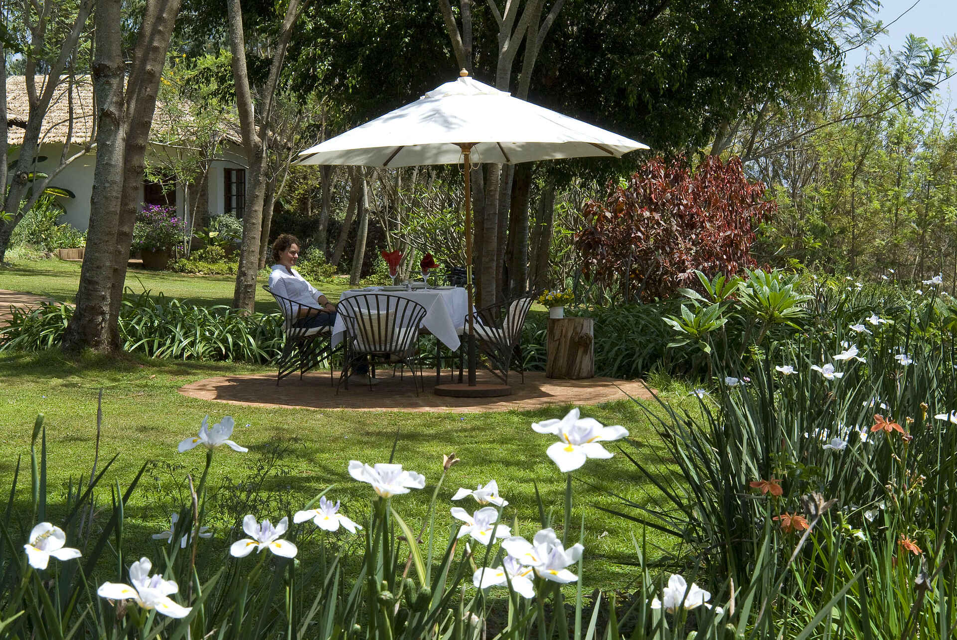 Plantation Lodge: Schatten im Garten Ngorongoro-Krater, Plantation Lodge, Garten, Rasen, Sonnenschirm, afrikarma, afrikarma Safaris, afrikarma Safaris - Wildnis. Hautnah., afrikarma.de