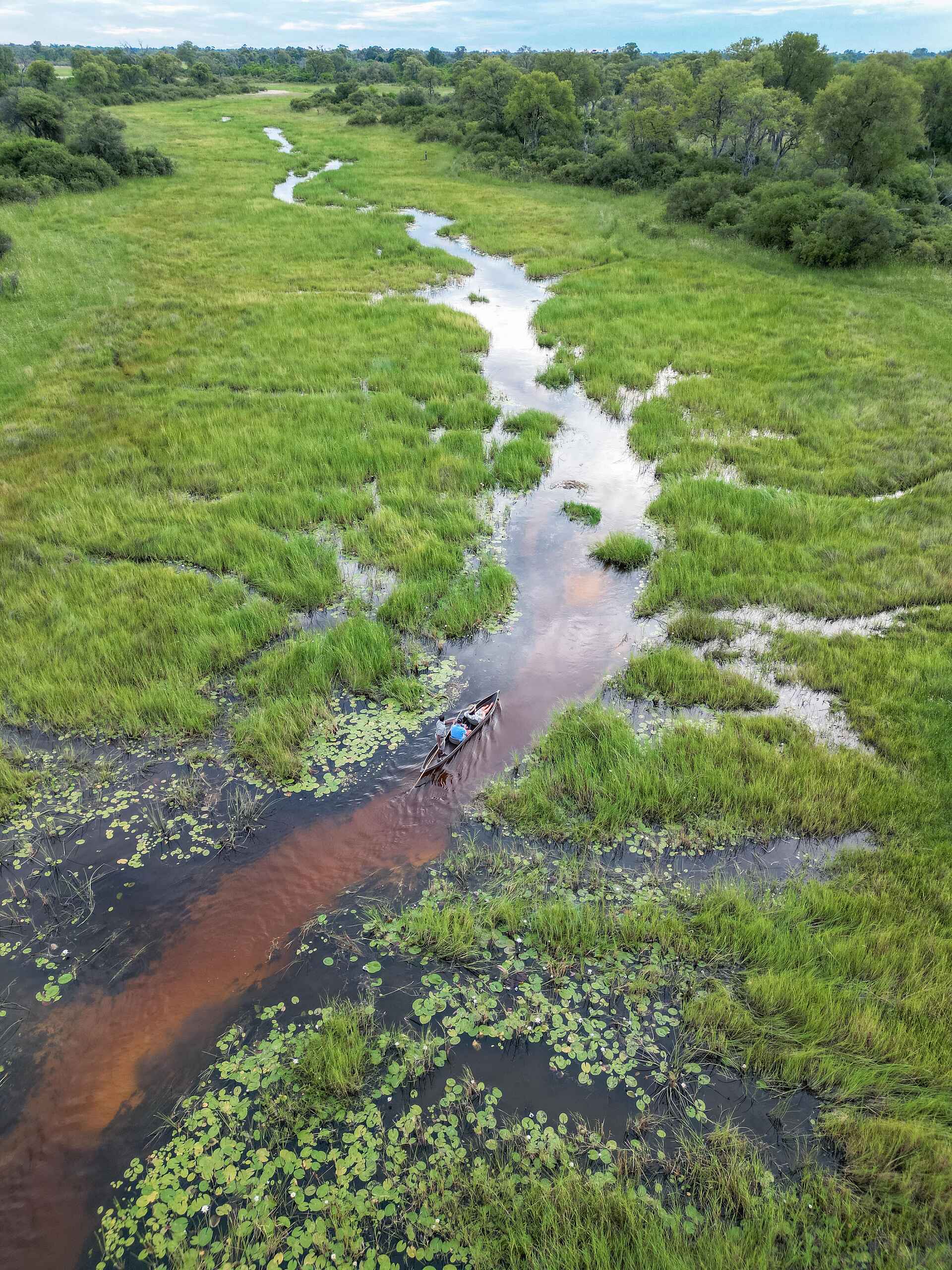 Sable Alley Camp: Mokoro