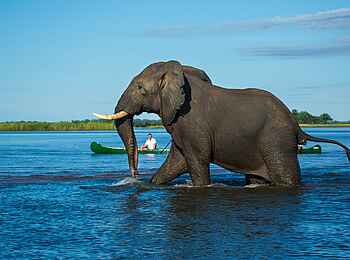 Tembo Plains Camp: Imposant!