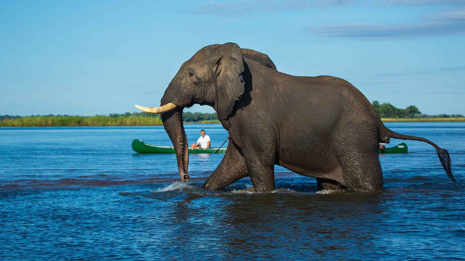 Tembo Plains Camp: Imposant!