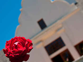 The Manor at Ngorongoro: Rote Rose