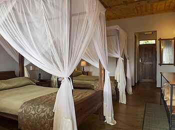 Tloma Lodge: Zwei Einzelbetten in einem Chalet