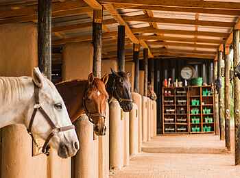 Olare Mara Kempinski: Reitstall