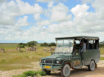 Taleni Etosha Village: Zebras aus naher Distanz Taleni Etosha Village: Zebras aus naher Distanz