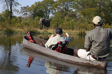 The Botswana Adventurer: Beste Sicht vom Mekoro aus The Botswana Adventurer: Beste Sicht vom Mekoro aus