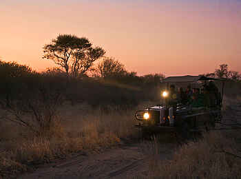 Deception Valley Lodge: Safari am frühen Morgen