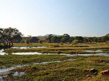 Jongomero Camp: Üppig grüne Flusslandschaft