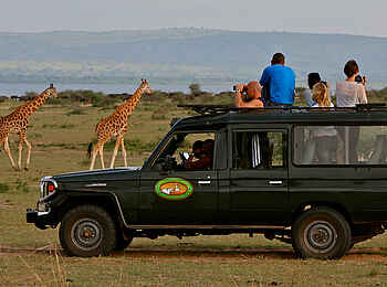 Paraa Safari Lodge: Safari durch den Murchison Falls National Park Paraa Safari Lodge: Safari durch den Murchison Falls National Park