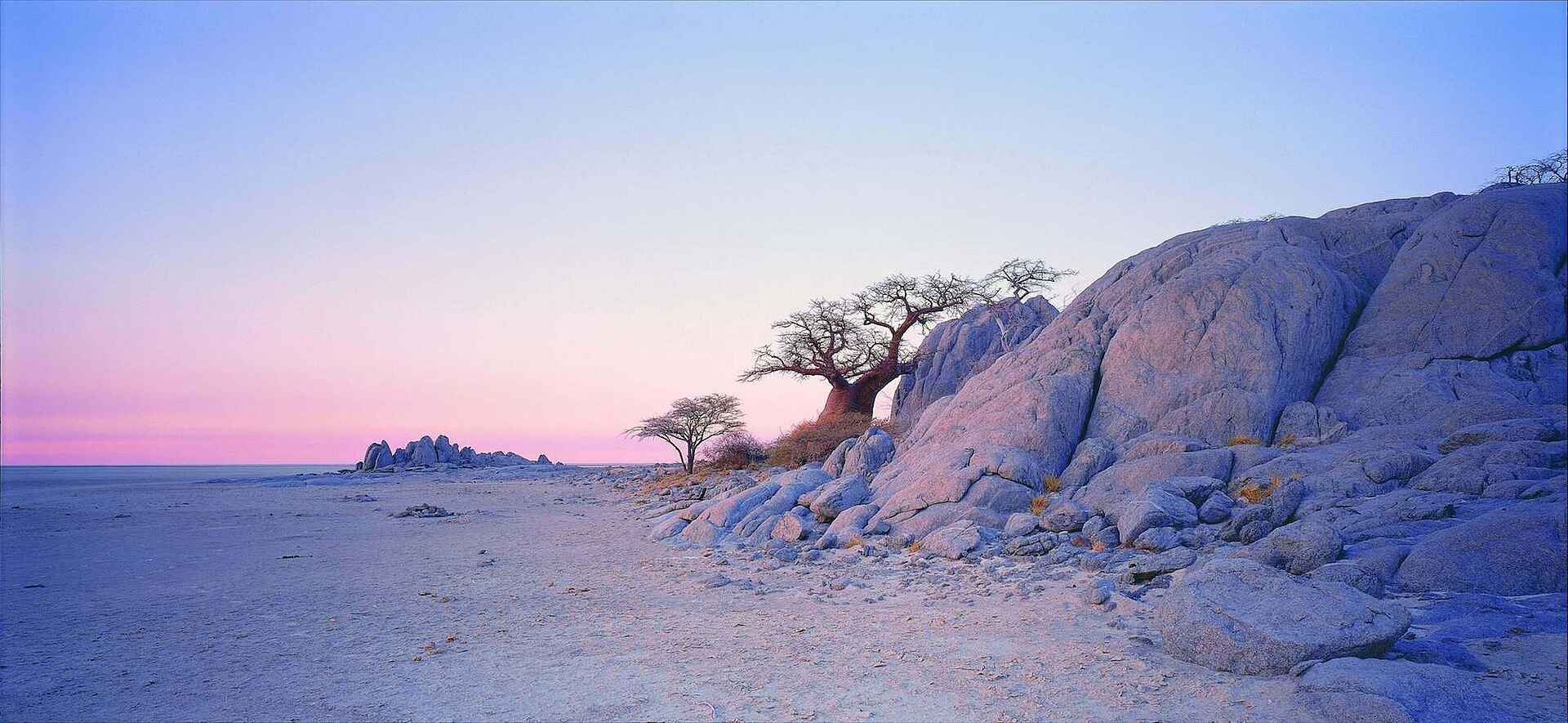 Baobab, CT11, Makgadikgadi, Ntwetwe Pan, Nxai Pans, San Camp, Kubu Island, Uncharted Africa Safari Co., Ntwetwe-Pfanne