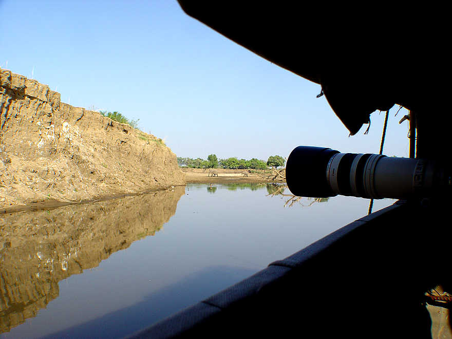 Shenton Carmine Bee Eater Hide: Beobachtungsboot Shenton Carmine Bee Eater Hide: Beobachtungsboot