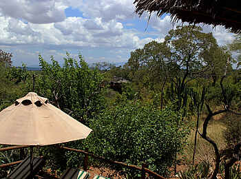Tarangire Treetops: Aussicht von der Main Lounge