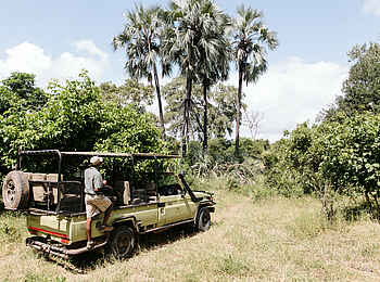 Chilo Ivory Trail Adventure: Game Drive