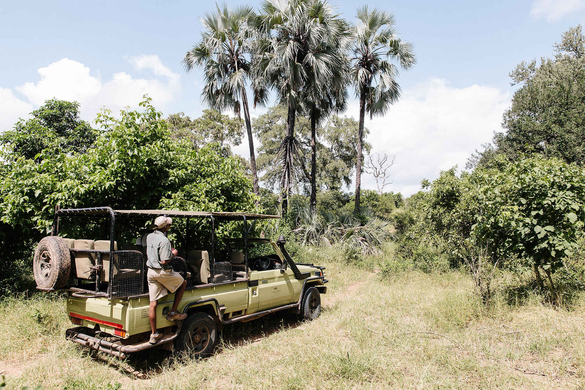 Chilo Ivory Trail Adventure: Game Drive