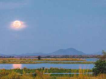 Chula Island Flycamp: Mondaufgang Chula Island Flycamp: Mondaufgang