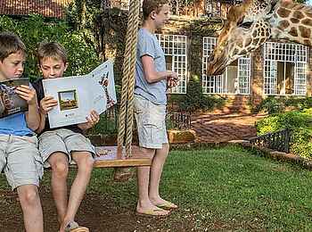 Giraffe Manor: Giraffen im Garten Giraffe Manor: Giraffen im Garten