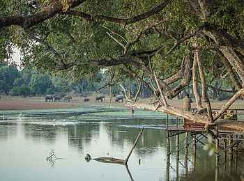 Big Lagoon Camp: Blick auf die Lagune Big Lagoon Camp: Blick auf die Lagune