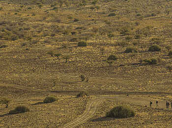Etendeka Mountain Camp: Natur Pur Etendeka Mountain Camp: Natur Pur