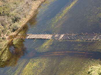 Macatoo Camp: Brücke