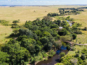 Mara Plains Camp: Die Lodge unter Bäumen Mara Plains Camp: Die Lodge unter Bäumen